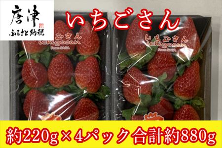 『予約受付』いちごさん 約220g×4パック (合計約880g) いちご 苺 贈答