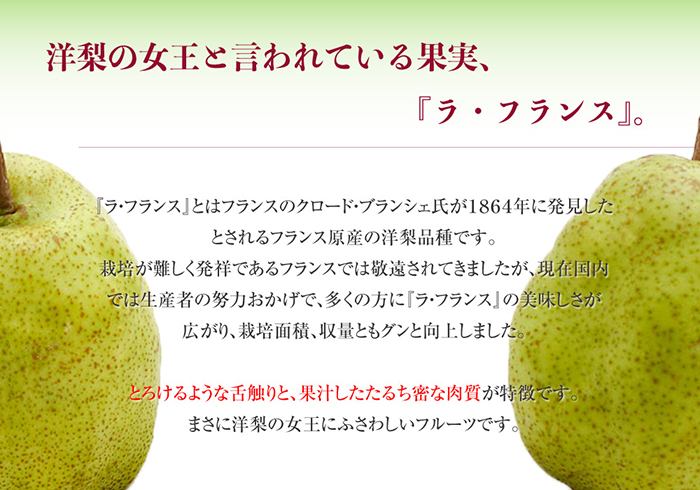 [予約 10月1日～初荷分より順次発送] ラ・フランス 約5kg 8玉-14玉 山形県産 他 果樹王国 梨 洋梨