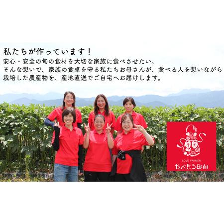 ふるさと納税 旬菜Box A 愛媛県四国中央市