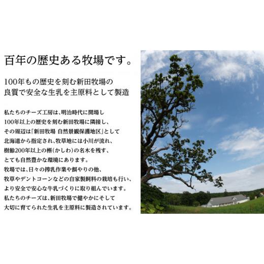 ふるさと納税 北海道 幕別町 [No.5749-1274]NEEDSオリジナル お酒のおつまみにおすすめ4種のチーズセット