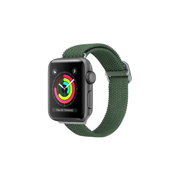 Apple Watch Series 1 (38mm) Apple Watch 專用編織錶帶 綠
