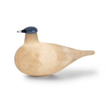 Kirassi 璃光鳥 LED 燈