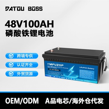 電池 鋰電池DATOU BOSS磷酸鐵鋰電池多項安全認證防自燃穩定耐用海外倉一件代