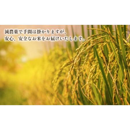 ふるさと納税 新潟なんかんコシヒカリ30kg 新潟県田上町