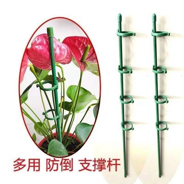 臺灣出貨✈️【可開發票】花支架多肉支撐杆蝴蝶蘭花支撐架朱頂紅防倒固定架天堂鳥扶正支架