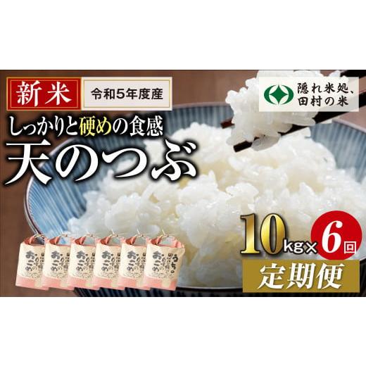 ふるさと納税 福島県 田村市 ＼ 年内発送 12／24(日)決済完了分まで！／定期便6回 田村産 天のつぶ10kg 毎月 お届け お米 福島県 田村市 …