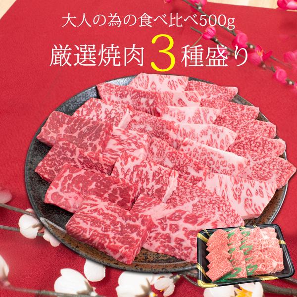 送料無料 お歳暮 黒毛和牛 大人のBBQセット500g（2〜3人前）明日着く ギフト プレミアム和牛 牛肉 焼肉セット 詰め合わせ お取り寄せ お中元 御中元 内祝い