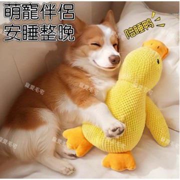 【寵愛毛宅】衝鋒鴨鴨造型玩具 有聲玩具 鴨子玩具 寵物玩具 貓玩具 狗玩具 寵物陪伴玩具