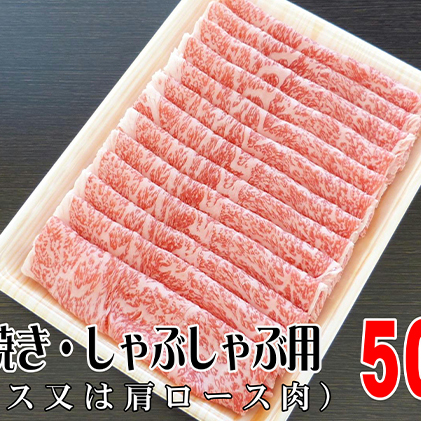 牛肉 飛騨牛 すき焼き しゃぶしゃぶ セット ロース 又は 肩ロース 500ｇ 黒毛和牛 Ａ5 美味しい お肉 牛 肉 和牛 すき焼き肉 すきやき すき焼肉 しゃぶしゃぶ しゃぶしゃぶ肉 【岐阜県池田