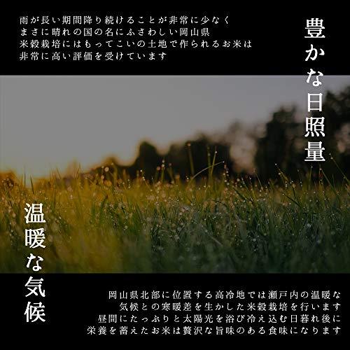 お米 新米 令和5年 岡山県産一等米朝日 10kg