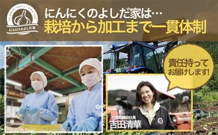 青森県産「にんにく・福地ホワイト種」　大サイズ・800g