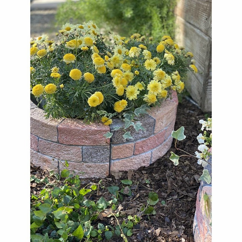レンガ風花壇 円形５０cm1面分 通販 Lineポイント最大1 0 Get Lineショッピング
