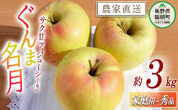 りんご ぐんま名月 家庭用 〜 秀 3kg やまじゅうファーム 沖縄県への配送不可 2023年11月下旬頃から2023年12月中旬頃まで順次発送予定 令和5年度収穫分 信州の環境にやさしい農産物 減農薬栽培 長野県 飯綱町 [1539]