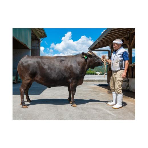 ふるさと納税 兵庫県 多可町 神戸ビーフ牝 バラ焼肉切落し 250ｇ[476] 神戸牛