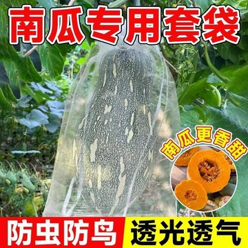 🔥臺灣熱賣⚡️南瓜套袋防蟲袋專用網袋無紡佈防鳥袋子西瓜冬瓜柚子水果蔬果網套🎉