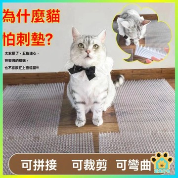 台灣出貨🔥隔日達 防貓刺墊 防猫刺钉 驱猫刺垫 防绿植破坏 爬刺垫 防貓上床亂尿神器 保护貓 可裁剪 不傷寵物