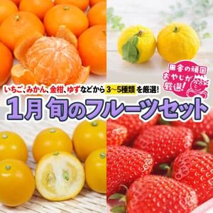 ふるさと納税 旬のフルーツセット 1月号 田舎の頑固おやじが厳選！ 茨城県つくばみらい市