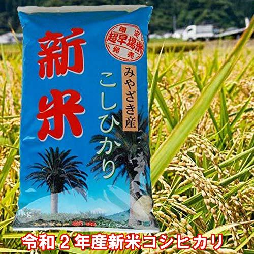 宮崎県産 白米 コシヒカリ 10kg 令和5年産