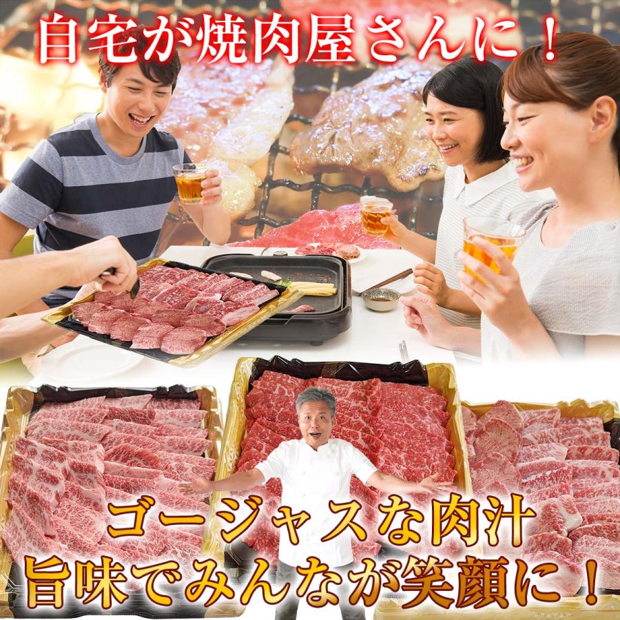 焼肉 モモ肉 タレ付き 500g 5人前 〜 6人前 ミックスホルモン300g セット