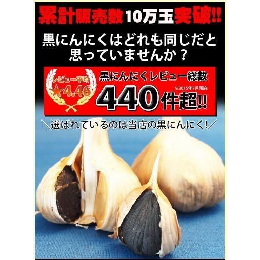 黒にんにく 田子の黒 約3ヶ月分 まとめ買いセット Mサイズ お歳暮 御歳暮