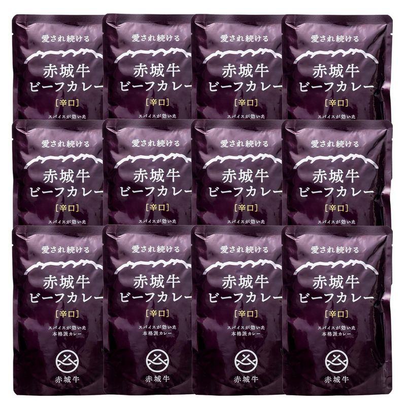 鳥山畜産赤城牛 ビーフカレー 12個セット（200ｇ×12） (辛口12個)