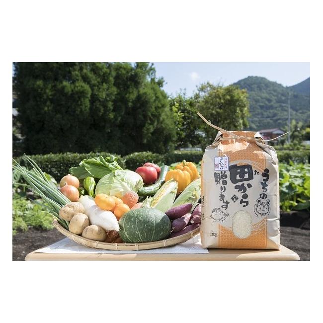 ふるさと納税 愛媛県 西予市 せいよ旬の野菜・果物・宇和米5kg詰合せセット