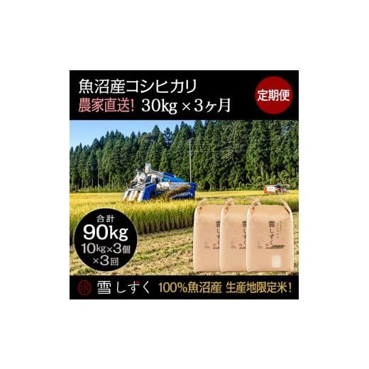 ふるさと納税 新潟県 十日町市 定期便！魚沼産コシヒカリ毎月30kg×3回