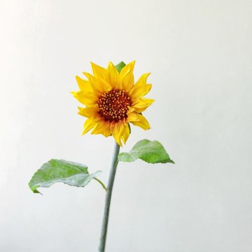 仿真向日葵道具 PU植絨 絹花太陽花裝飾花仿真花向日葵玫瑰花束