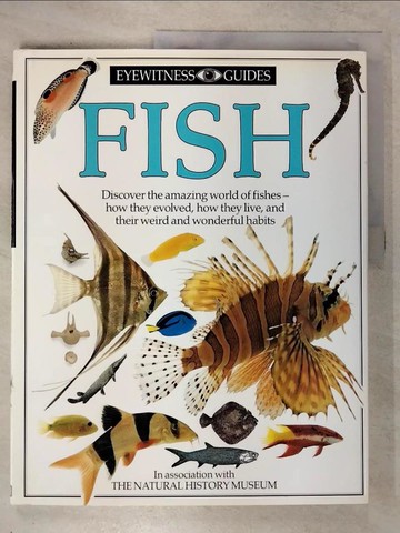 【書寶二手書T5／動植物_EUJ】Fish_Eyewitness Guides
