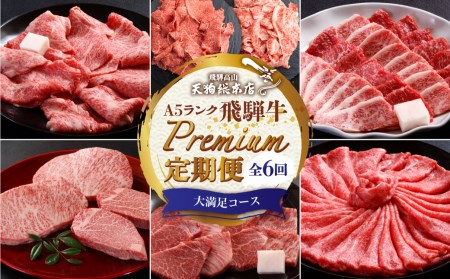 天狗総本店 A5飛騨牛 定期便 全6回 約3.5kg 400g 以上 × 6ヶ月 焼肉 すき焼き しゃぶしゃぶ ステーキ 牛肉 食べ比べ A5 岐阜 高山市 飛騨高山 岐阜県 人気 お楽しみ おすすめ TR4462 