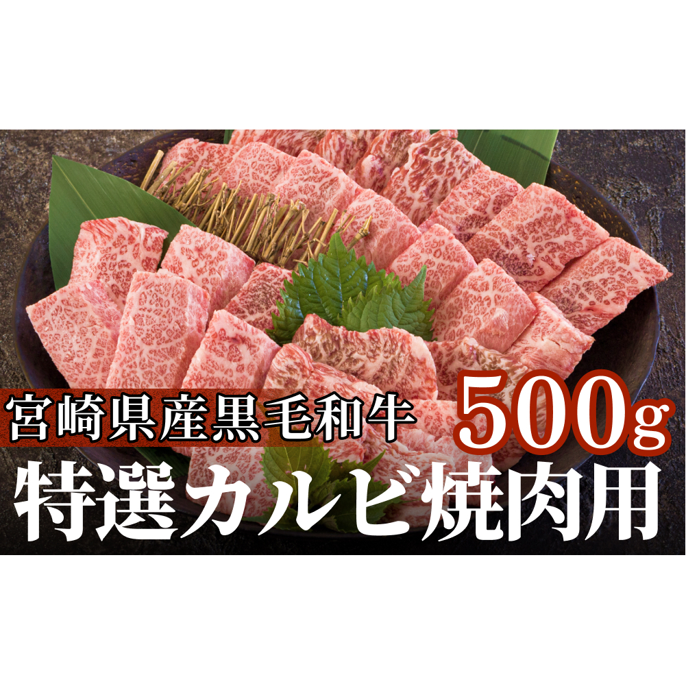 宮崎県産 黒毛和牛 特選 カルビ 焼肉 500g 牛肉 炒め BBQ バーベキュー キャンプ 普段使い 調理 おかず 料理 国産 送料無料 パック 厳選 カルビ丼 クッパ 焼肉丼 スープ チャーハン