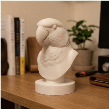 非洲灰鸚鵡 3D 列印胸像 白色 PLA 雕塑 擺飾 居家擺設