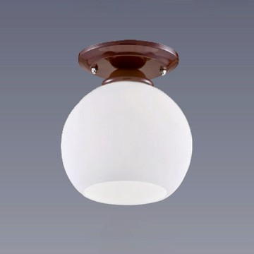 單吸頂燈 B244-81-25275