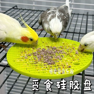 ⚡免運臺灣有貨⚡鸚鵡覓食盤大號硅膠玩具解悶發泄虎皮牡丹玄鳳鸚鵡自嗨覓食餵食器⚡可開票