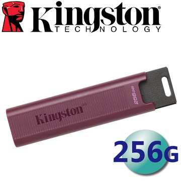 金士頓 256g type-a usb 3.2 gen 2 隨身碟(dtmaxa/256gb)