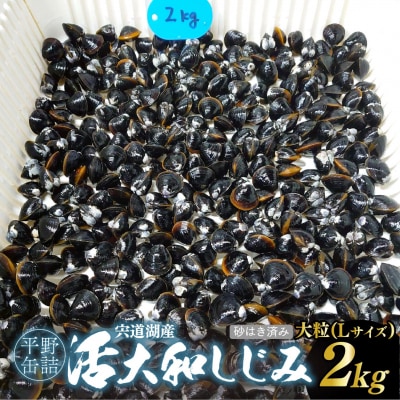 宍道湖産活大和しじみ大粒(L)(砂はき済み) 2kg〈冷蔵〉