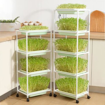 豆芽發芽盆水培蔬菜設備無土栽培托家用芽苗菜育苗盤豌豆苗種植架