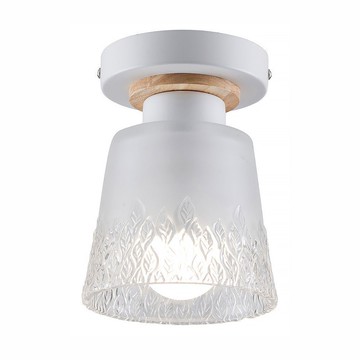 E27玻璃單吸頂燈 L12-56-61820