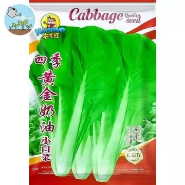【原廠包裝】奶油小白菜種子 （Cream Baby Bok Choy）台灣全年可種 生長快速30天採收 家庭陽台盆栽