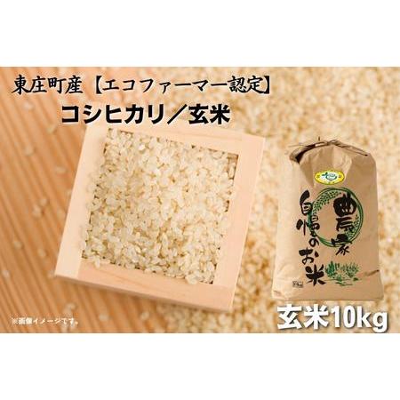 ふるさと納税 ＼令和5年産 新米／ 東庄町産コシヒカリ　玄米10kg 千葉県東庄町