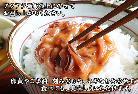 442.いかの塩辛 500g いか イカ 烏賊 おつまみ 魚介 海鮮 送料無料 北海道 弟子屈町