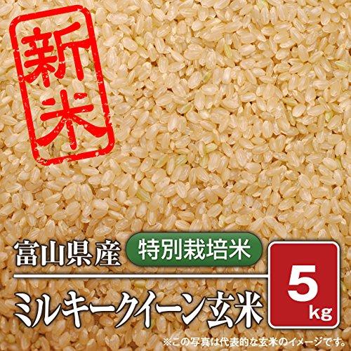 富山県産 特別栽培米 ミルキークイーン（令和5年）5kg