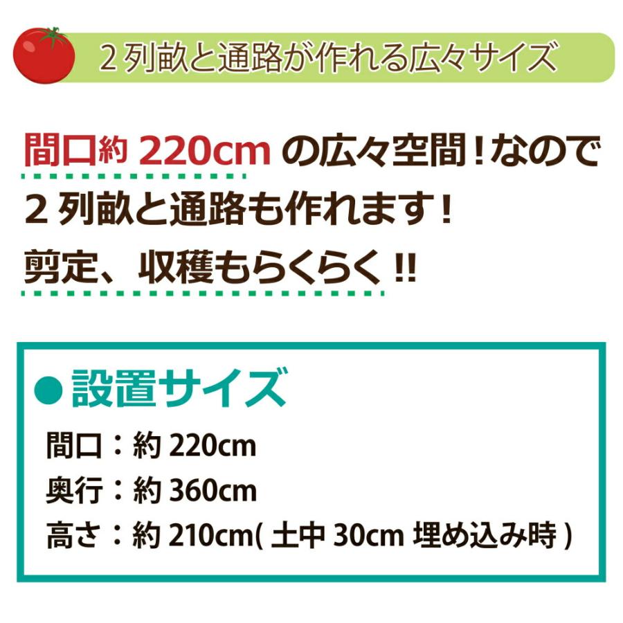 daim 雨よけセット DXワイド 220cm 360cm 雨よけ トマト ぶどう 棚 雨よけ 雨除け トンネル 野菜 ビニールハウス 園芸 家庭菜園 霜よけ 防虫 防鳥 送料無料