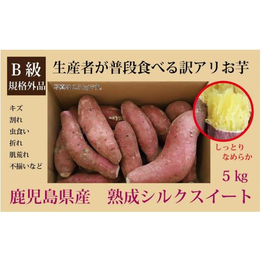 ふるさと納税 鹿児島県 南大隅町 訳あり シルクスイート 5kg 1箱 熟成 さつまいも  鹿児島県産