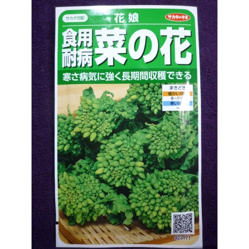 ☆種子☆ 食用耐病菜の花 花娘 Ｖ サカタのタネ 23.05 ◎蕾や花、若い葉を利用する緑黄色野菜♪ （ゆうパケット便可能） 通販  LINEポイント最大0.5%GET | LINEショッピング