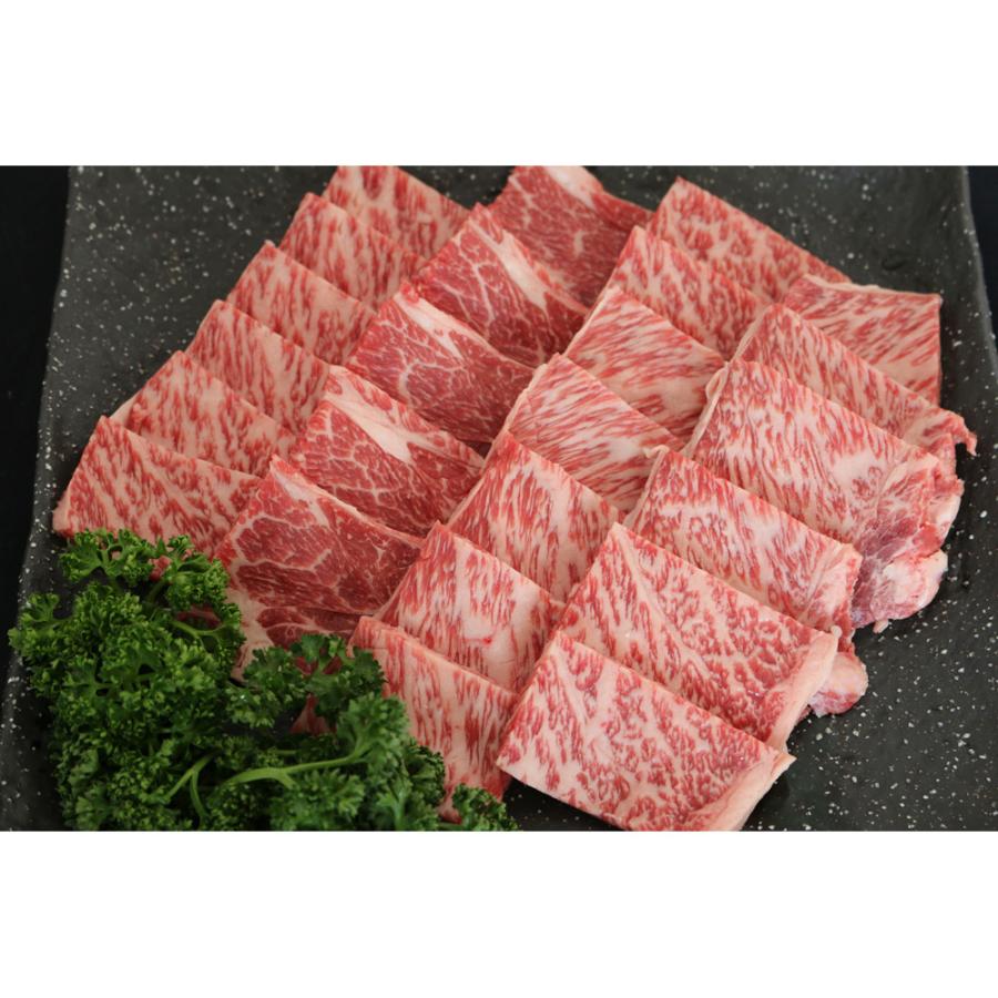 佐賀牛肩ロース焼肉 肩ロース480g 牛肉   お取り寄せ お土産 ギフト プレゼント 特産品 お歳暮 おすすめ  