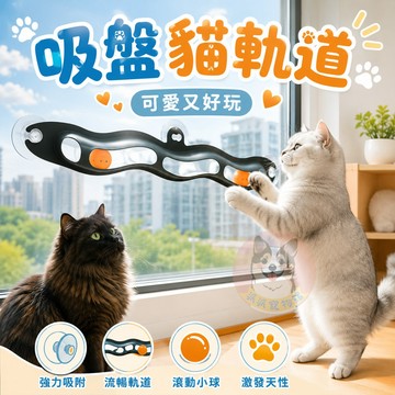 吸盤貓軌道😍 貓抓球 貓玩具 貓咪玩具 寵物玩具逗貓逗貓玩具兵乓球軌道幼貓玩具貓球貓的玩具貓咪小貓玩具懶人貓益智吸盤