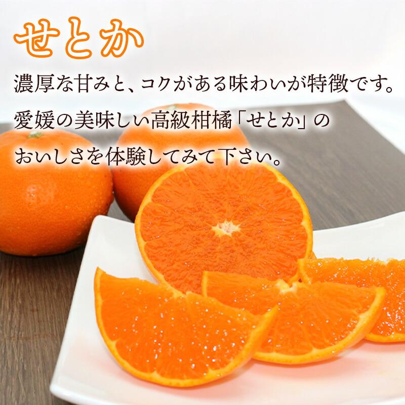   フルーツ 愛媛県産 せとか   甘平 約2kg （ L〜２Lサイズ せとか4玉   甘平4玉 計8玉 ） 果物 柑橘 みかん 食べ比べ 送料無料 NENP013