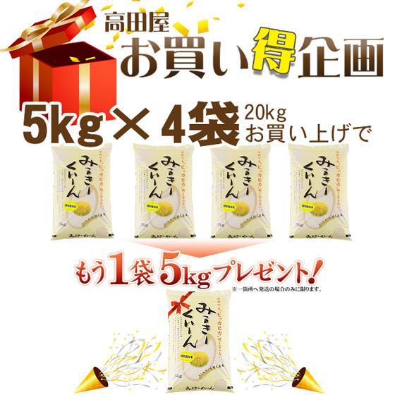 令和５年産　お米 5kg 特別栽培米 新潟産ミルキークイーン　5kg×1袋　送料無料（一部地域を除く）