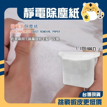 🚚蝦店隔日速達🔥靜電除塵紙 平紋除塵紙 除塵紙 拖把紙 乾濕兩用 靜電除塵 靜電吸附 拋棄式 1包100入